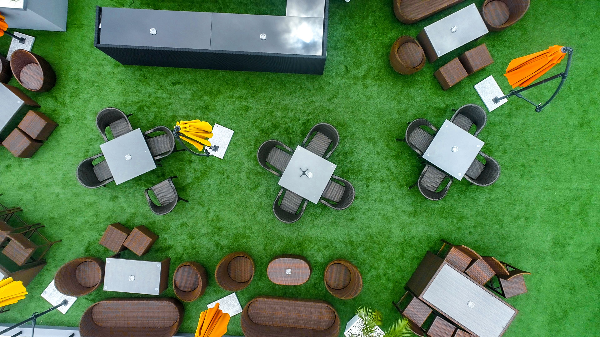 Fish Farm Ogudu Lagos Unique Fish Photo